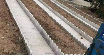 福建芝麻白花边石