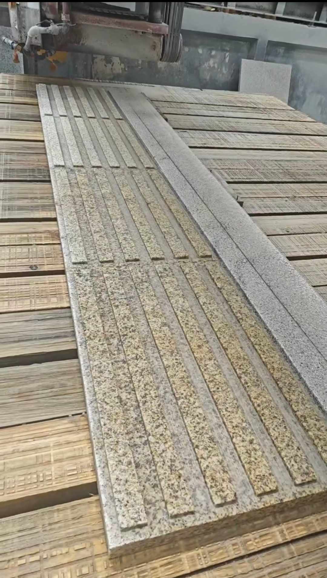 福建黄金麻盲道石 盲条